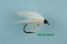 White Moth Winged Wet